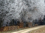  Jahresabschlusslauf 2007  _12