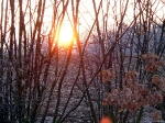  Jahresabschlusslauf 2007  _14