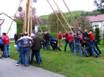 Maibaumaufstellen am 30.04.2008_13